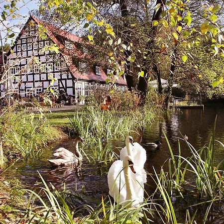 Hotel Springbach-Muhle Belzig Zewnętrze zdjęcie