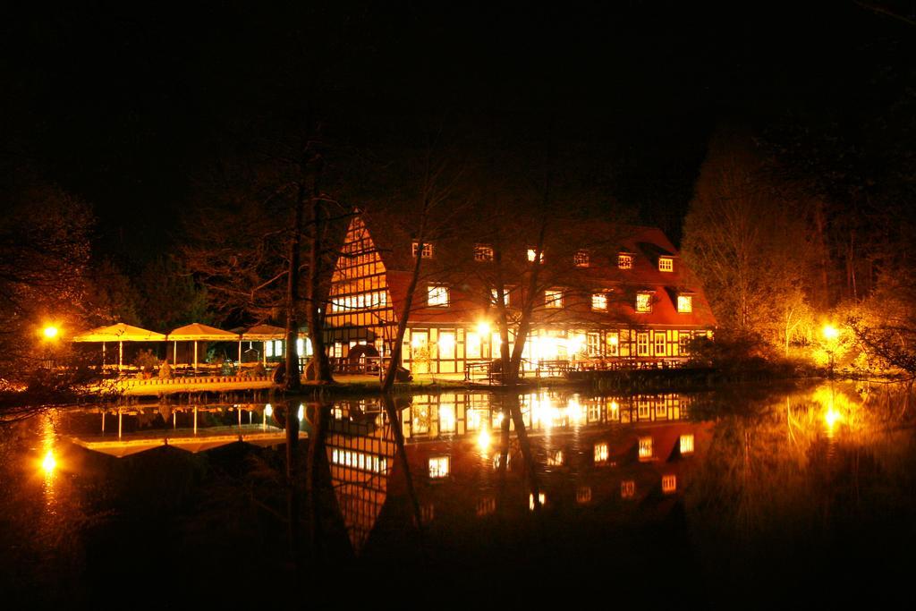 Hotel Springbach-Muhle Belzig Zewnętrze zdjęcie