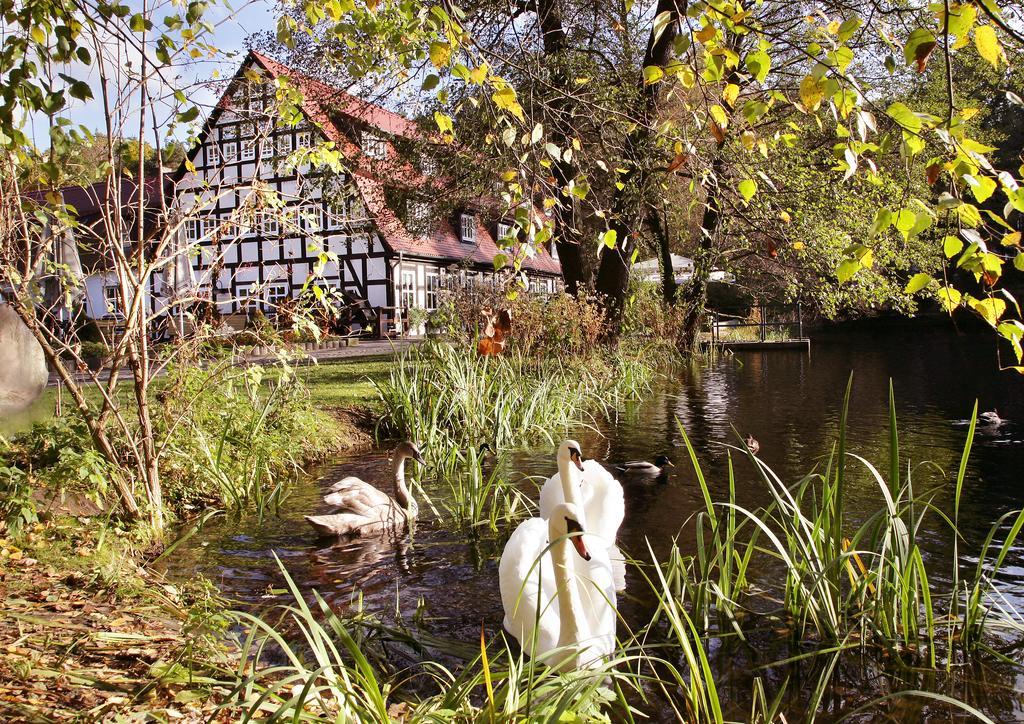 Hotel Springbach-Muhle Belzig Zewnętrze zdjęcie